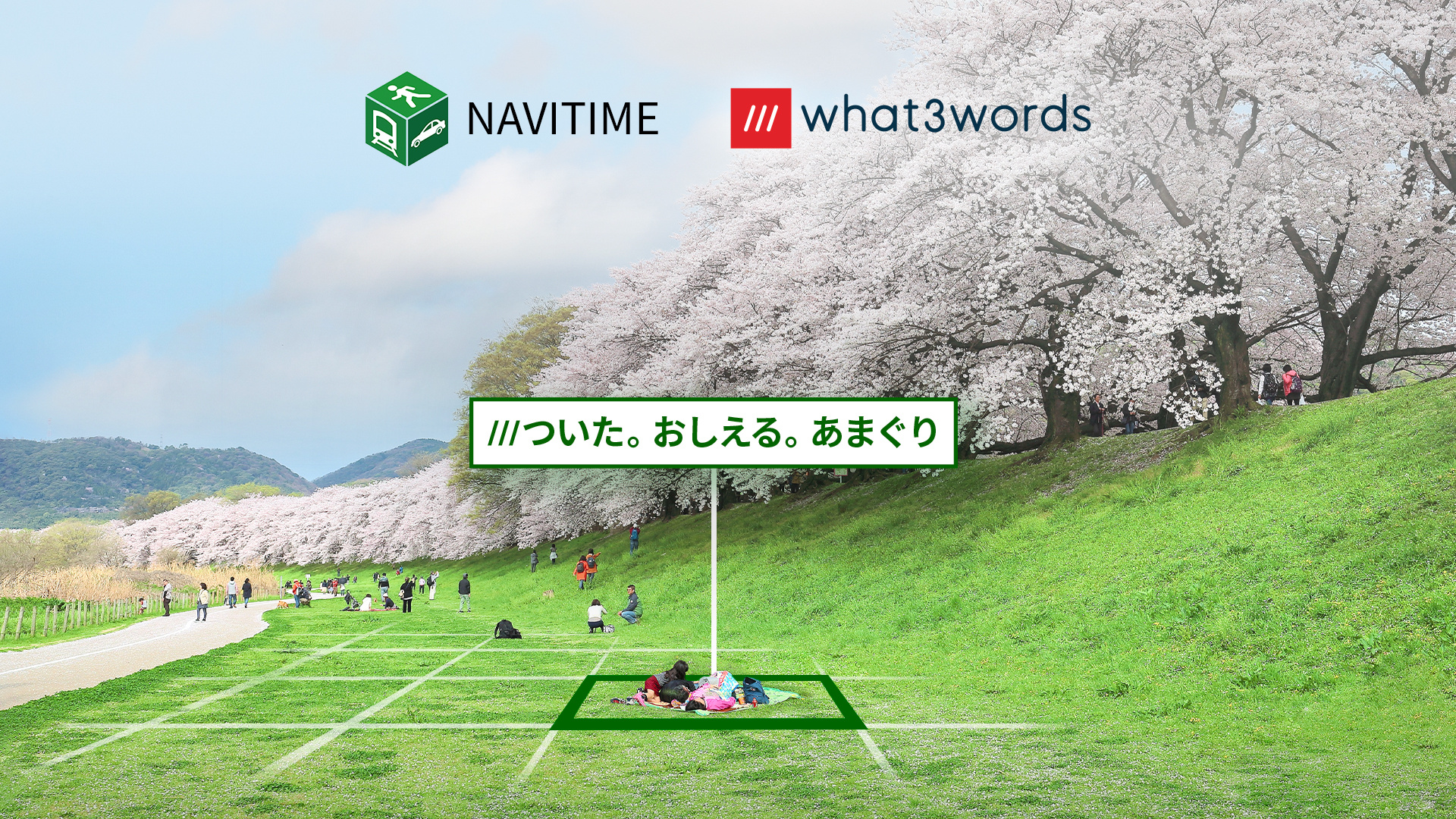 11900-what3words-Navitime-co-branded-announcement-Cherry_JP_16x9 (1).jpg