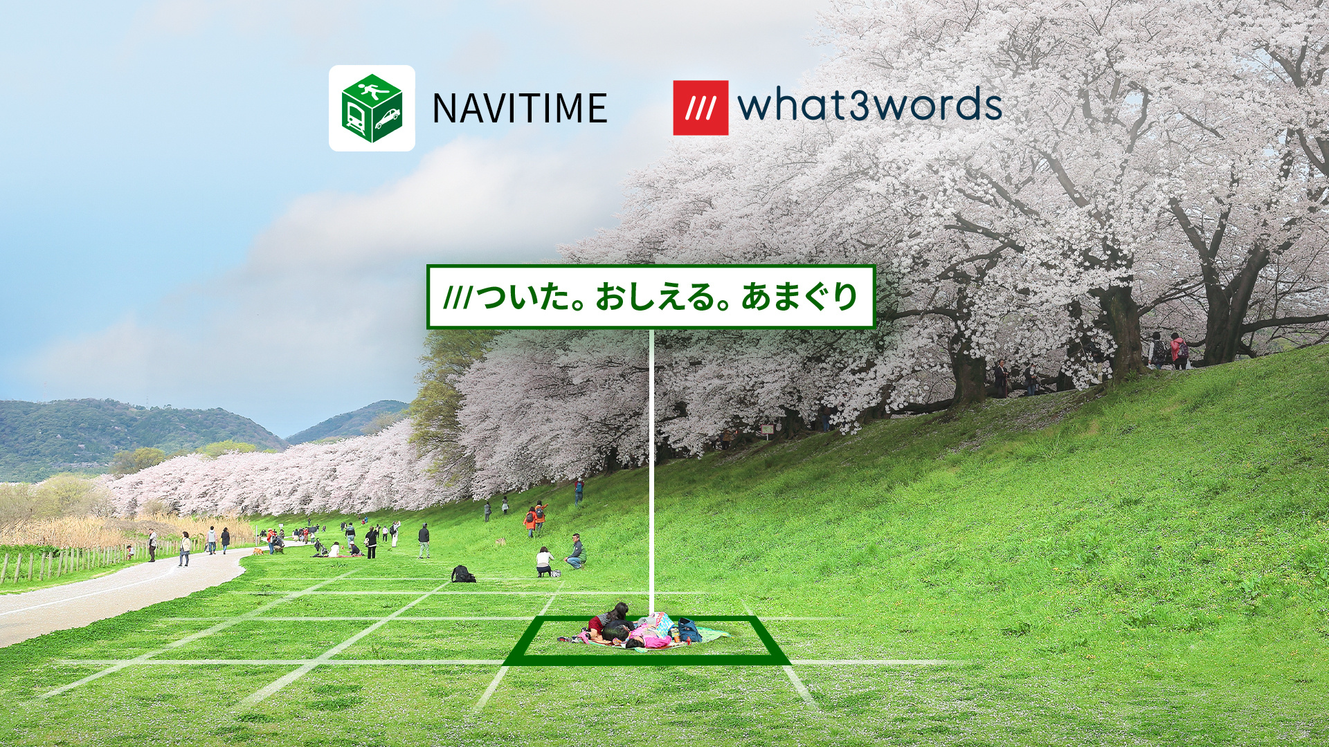 11900-what3words-Navitime-co-branded-announcement-Cherry_JP_16x9 (2).jpg